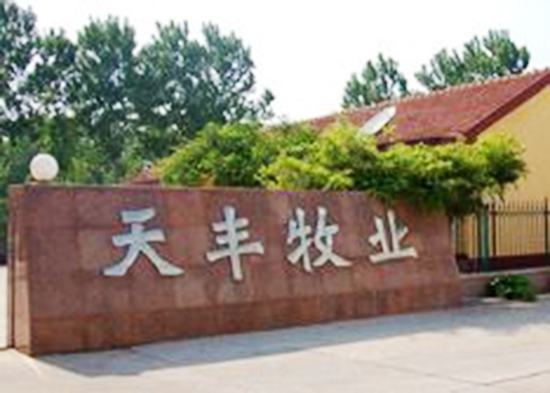 公司（sī）大門